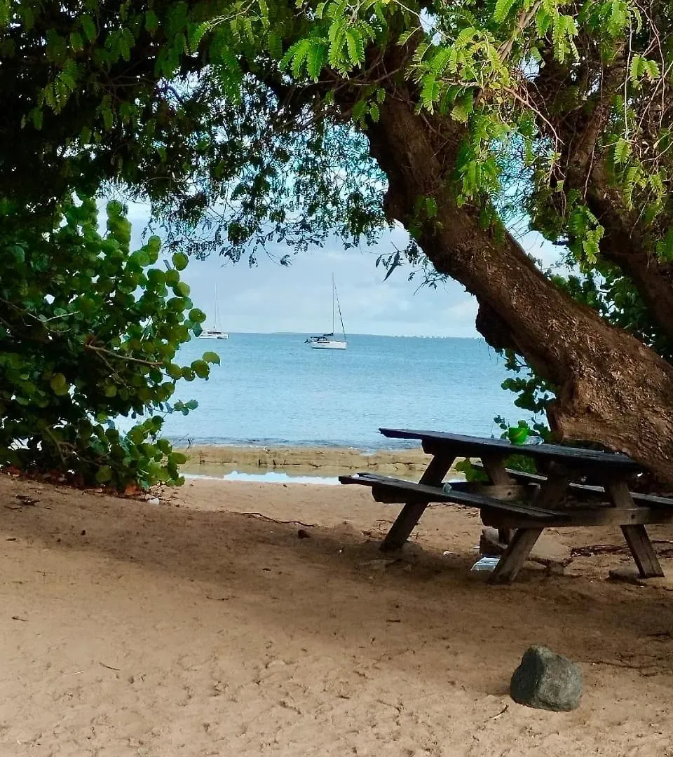 Appartement Les Paletuviers à Marigot