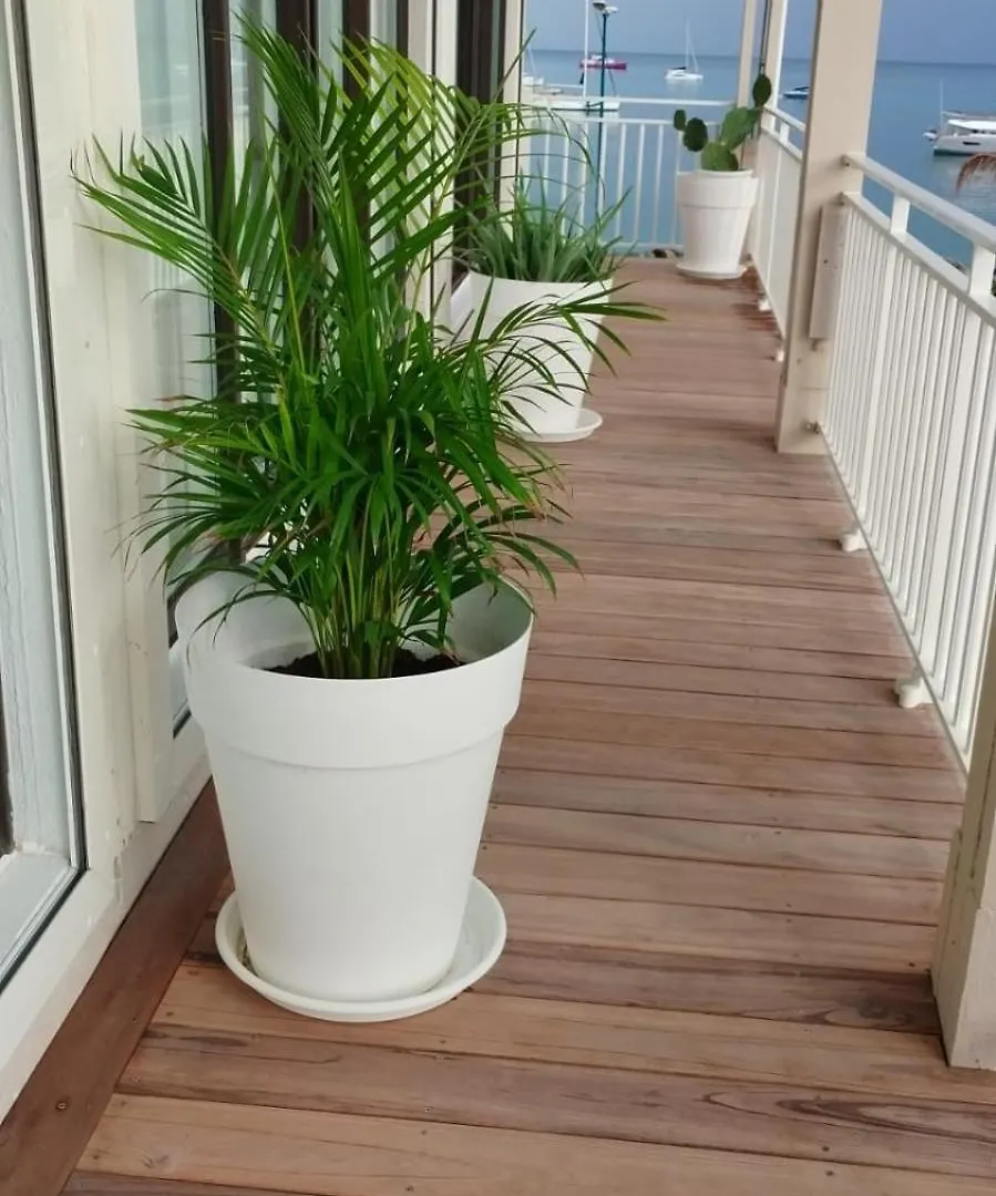 Apartment Ferienwohnung Les Paletuviers Marigot  Sint Maarten